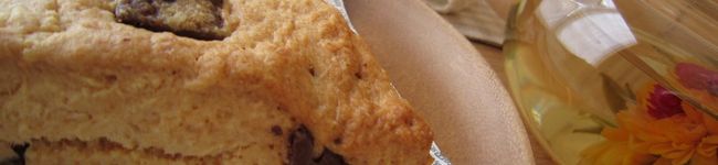 le_coton's header image