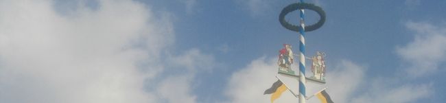 trustme's header image