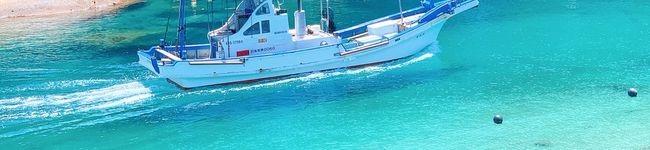 SAYURI1024's header image