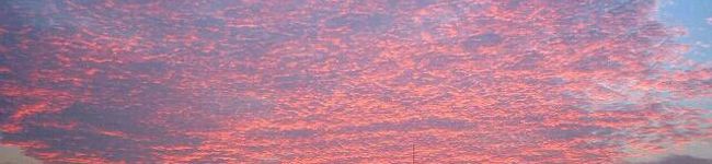 Rhabarbar's header image