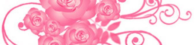kiralife's header image