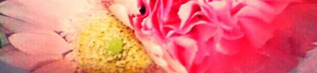 kanonmommy's header image