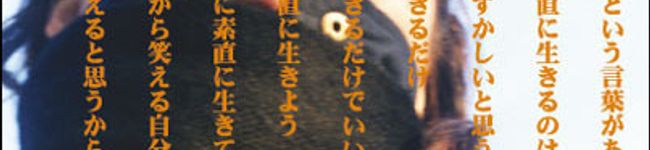きなこちゃーん's header image