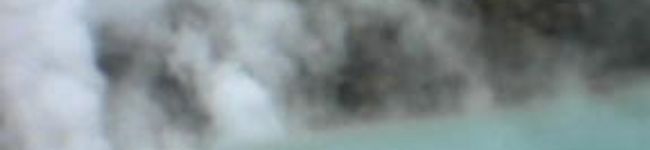 ねり梅's header image