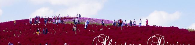 新太郎の食卓's header image