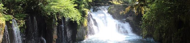 kumi8i's header image