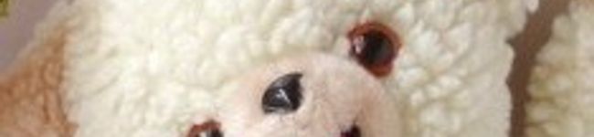 じょんふぁふぁ's header image