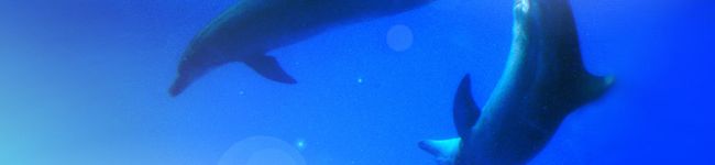 megumichan20's header image