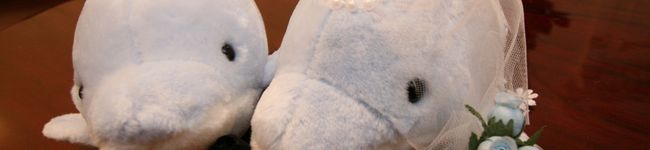 陽陽ハニーちゃま姫's header image
