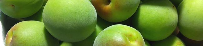 guzavie's header image