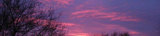 ＭＯＫＯＭＡＭＡ's header image