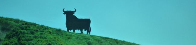 こみかんはん's header image