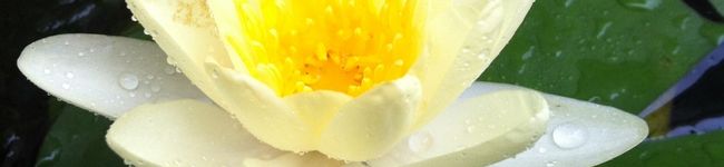 ユチョン1217's header image