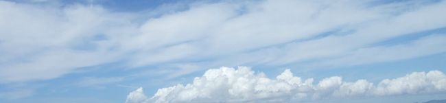 rinn♪'s header image