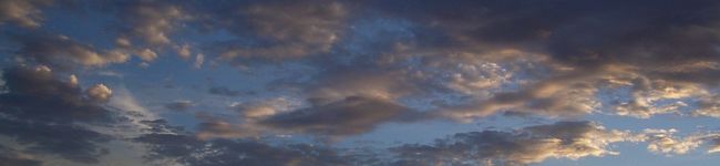 curo's header image