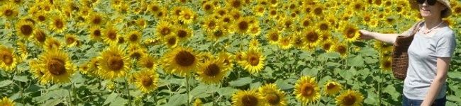 okn21's header image