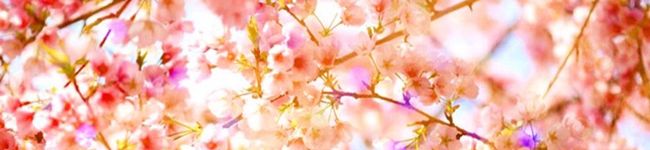 ズボラですがなにか♡'s header image
