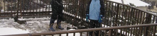 mipoママ's header image
