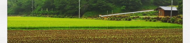 飯島風's header image