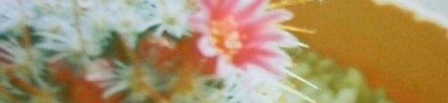 Aritaka's header image