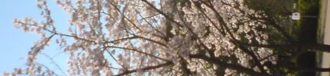 くろチャンネル's header image