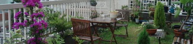 fu57579's header image