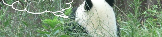 xiaochu's header image