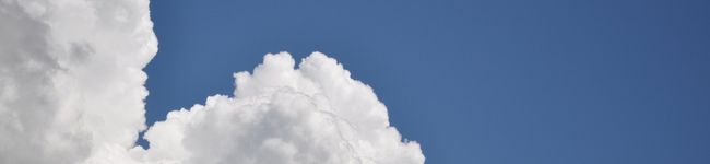 minimerry's header image