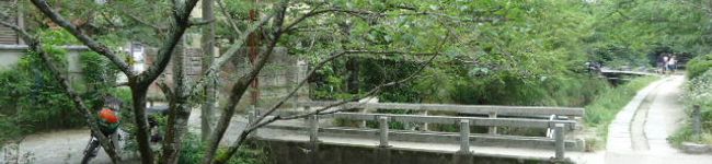 炙りサーモン's header image