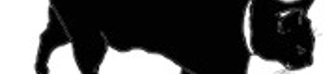 kyaorinn's header image
