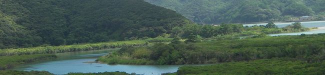 ぶぅこ's header image