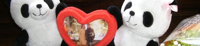 pandapanco's header image