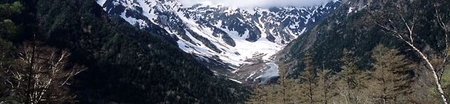 corocomi's header image