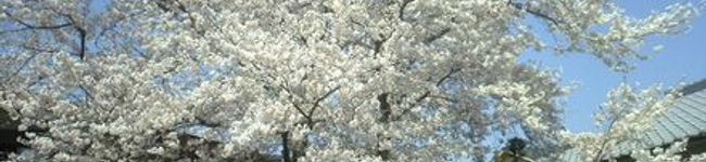 まーこちー's header image