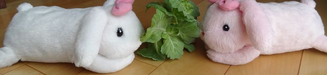 ぷりんも's header image