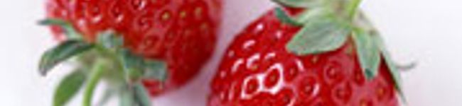 めいす's header image