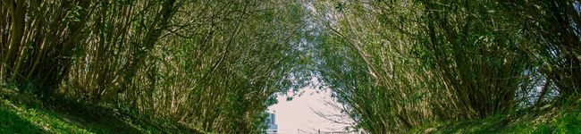 takemai's header image
