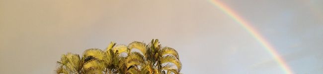 maxwelljp's header image