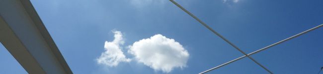 nyarimo's header image