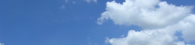 だいさな's header image