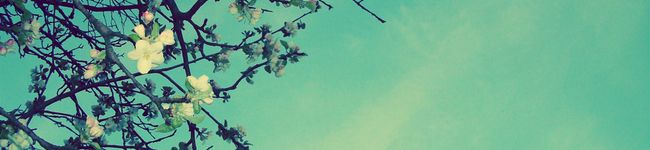 dessi's header image