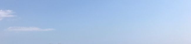 月ぷりん's header image