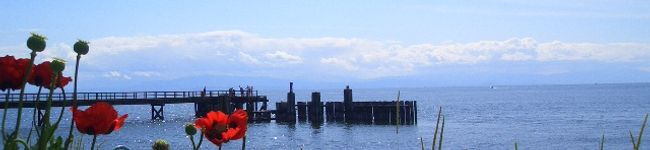 akosio's header image