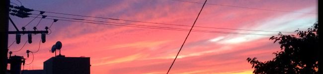 saorin215's header image