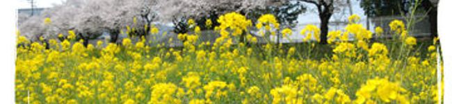 亜貴ｍｉｆｆｙ's header image