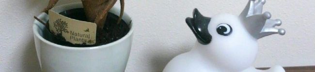 musasabict's header image