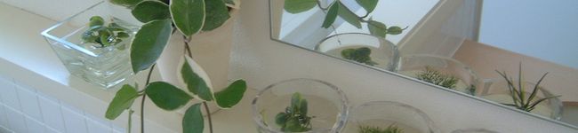erirun's header image