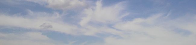 トレヴィン's header image