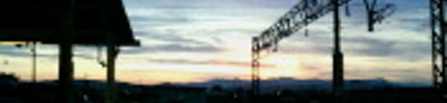 citron77's header image