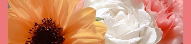 ともち0325's header image